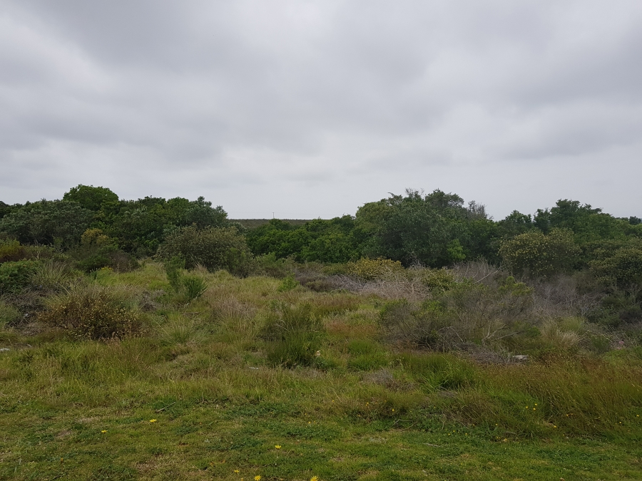 0 Bedroom Property for Sale in Kromme River Estate Eastern Cape
